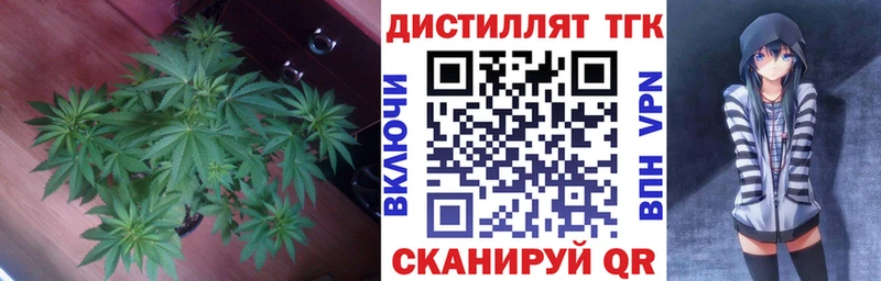 ТГК гашишное масло  закладки  Владивосток 
